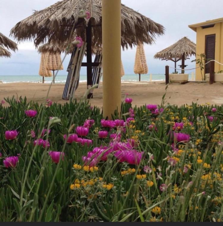 Hotel Cerrano Silvi Marina Esterno foto