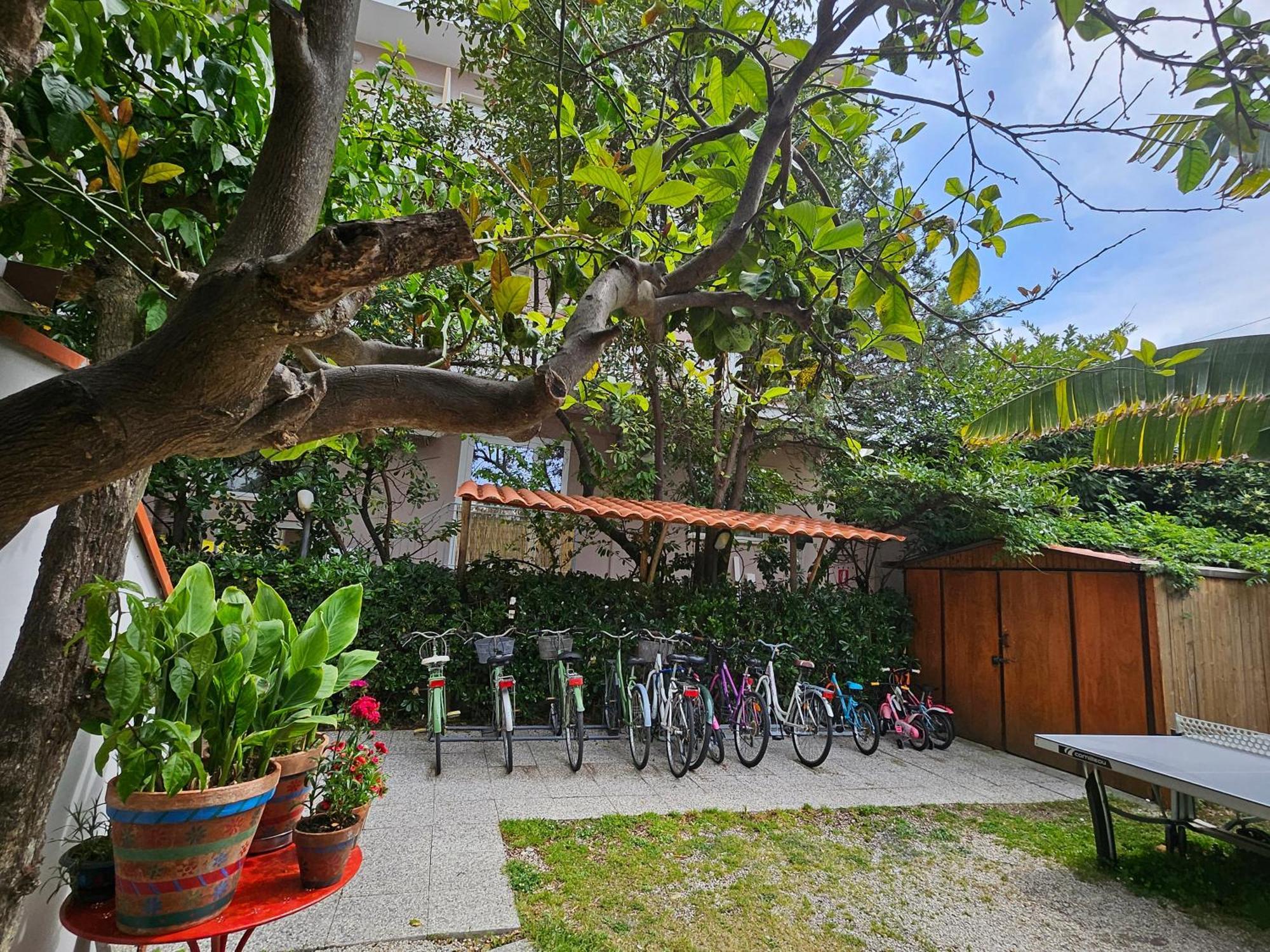 Hotel Cerrano Silvi Marina Esterno foto