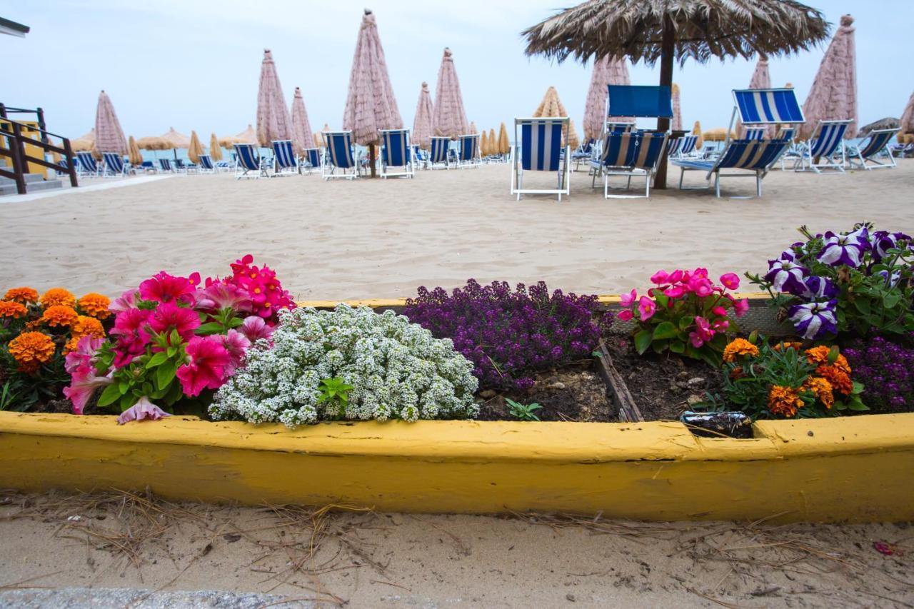 Hotel Cerrano Silvi Marina Esterno foto